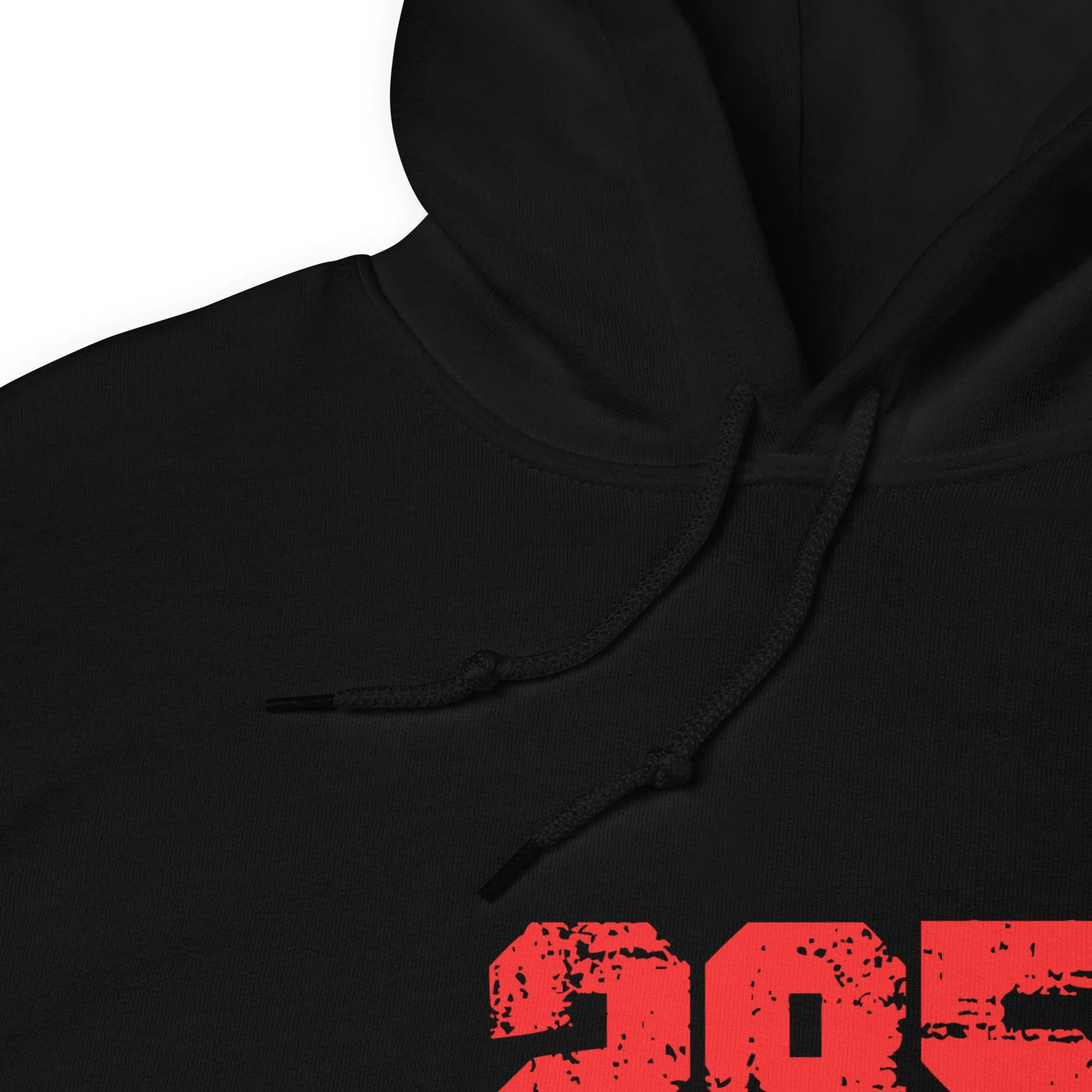 295 Unisex Hoodie