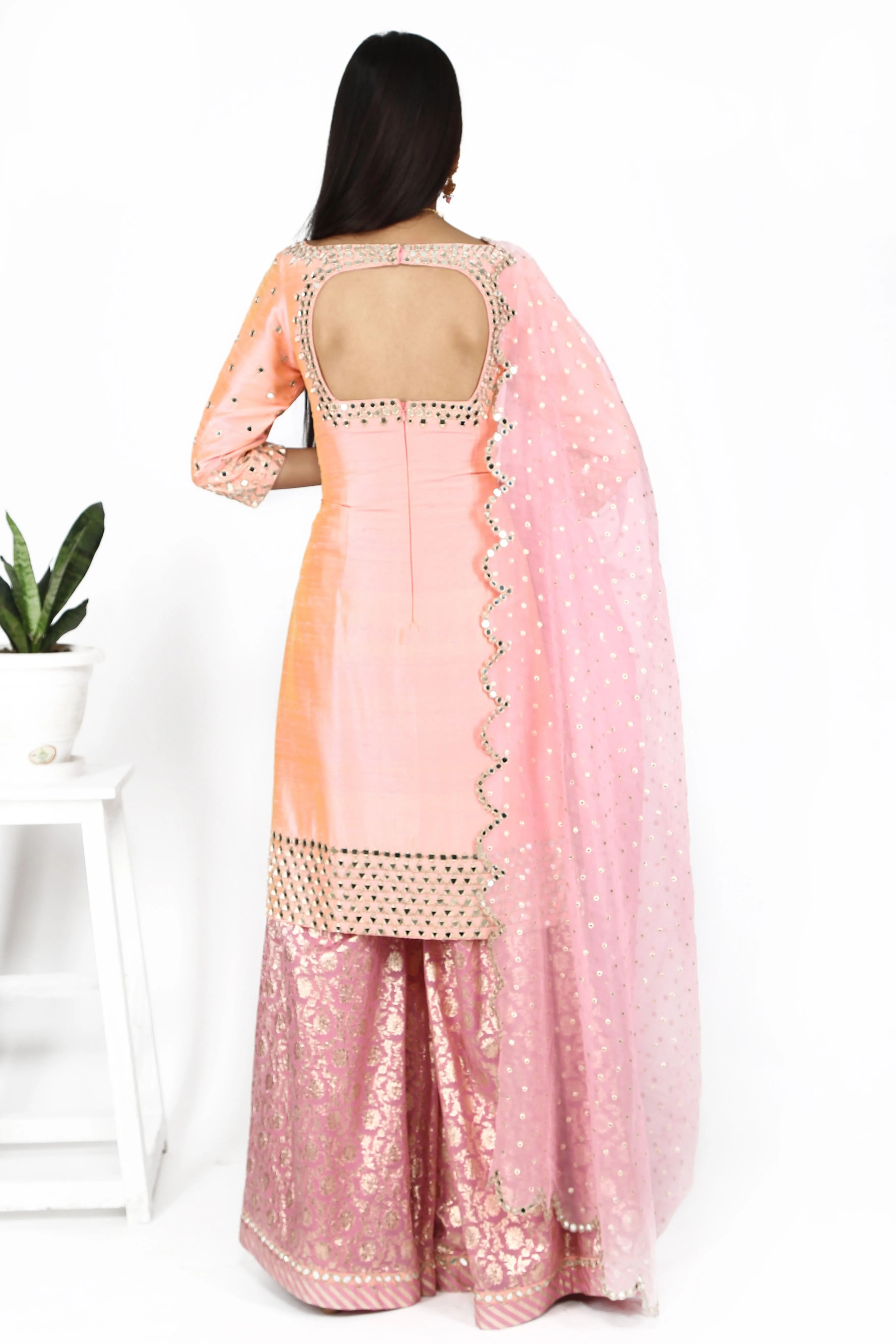 Champagne pink with sharara set.